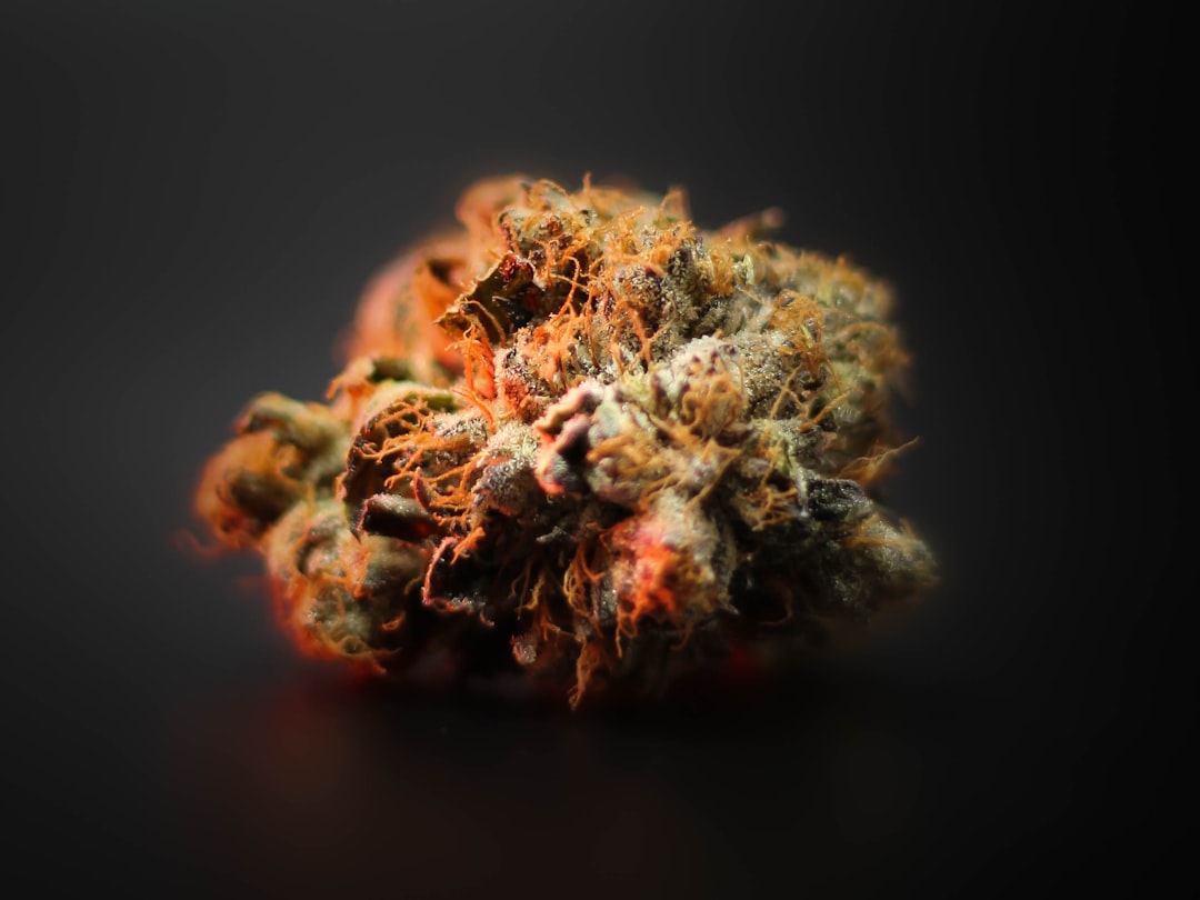 THC Vape Delivery in Toulouse: Your Premier Online Shop
