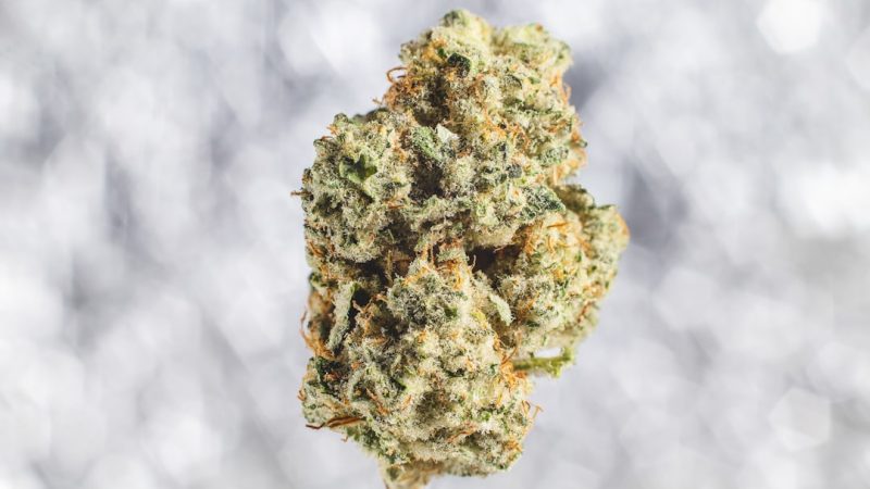 Welcome to the premier destination for cannabis delivery Geneva