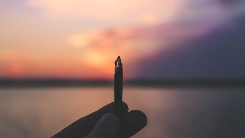 Buy Weed in Oxford: Your Guide to Cannabis Shops