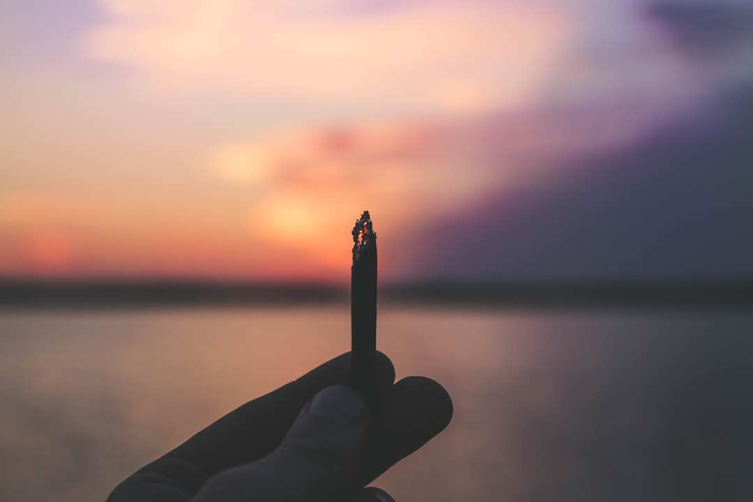Buy Weed in Oxford: Your Guide to Cannabis Shops