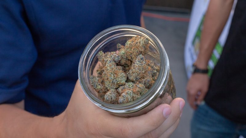 Madeira, the Lush Archipelago Turning into a Cannabis Hotspot
