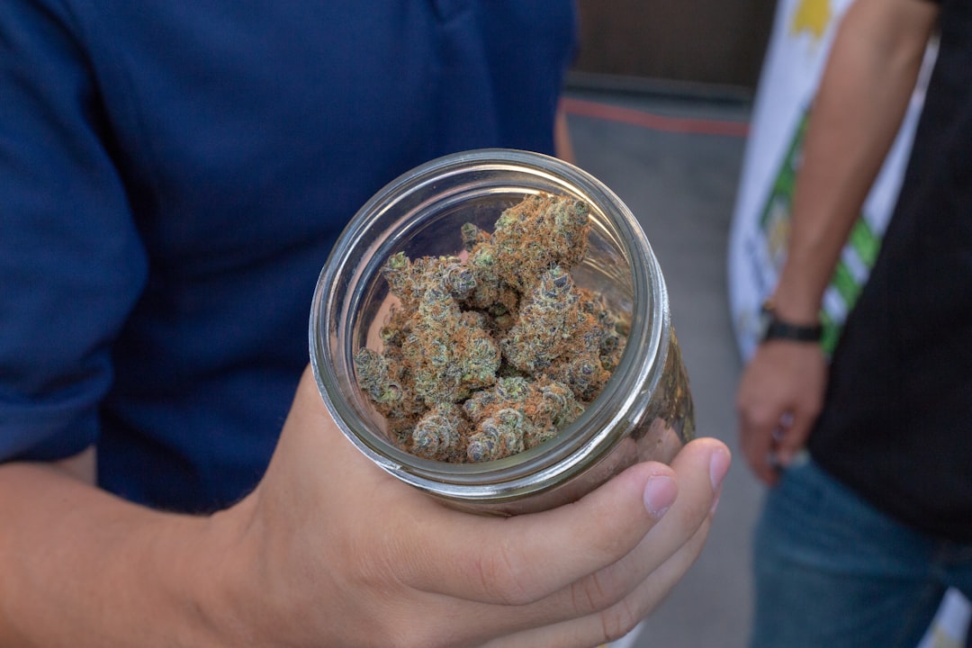 Madeira, the Lush Archipelago Turning into a Cannabis Hotspot