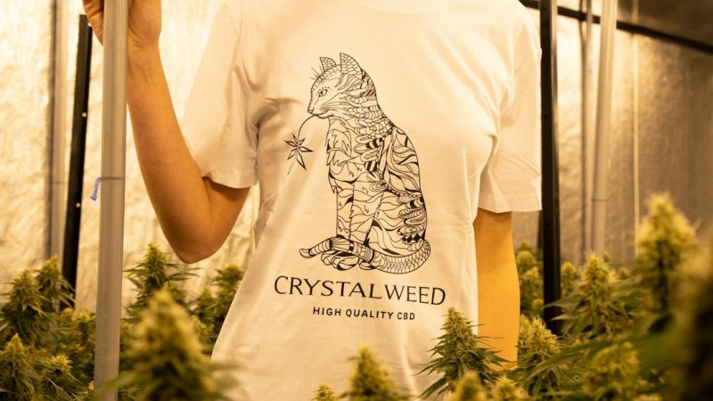 Cannabis Delivery in Bremen