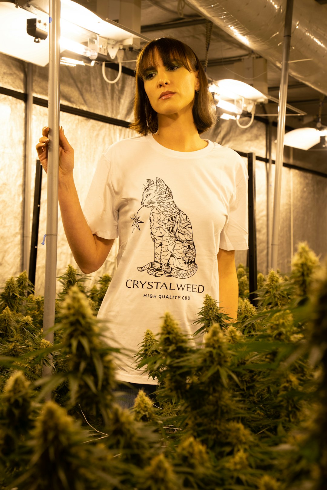 Cannabis Delivery in Bremen