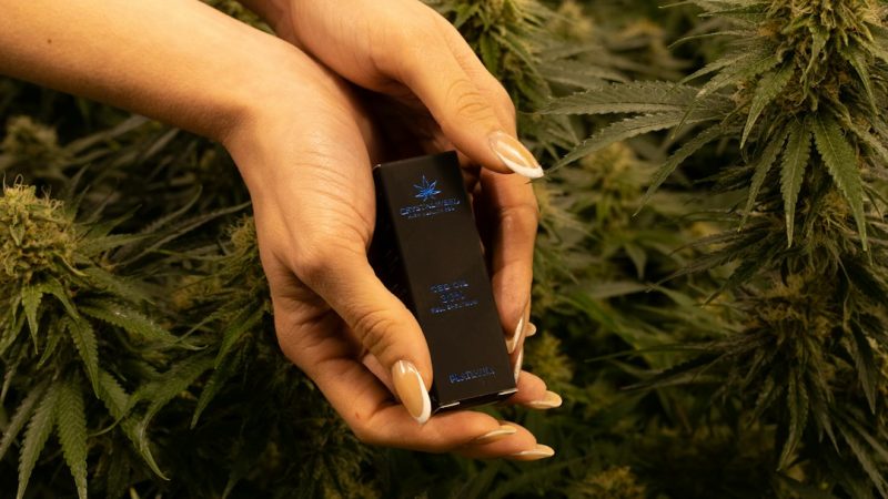 Welcome to the ultimate destination for legal cannabis, marijuana, hemp, THC, and weed in Bulgaria