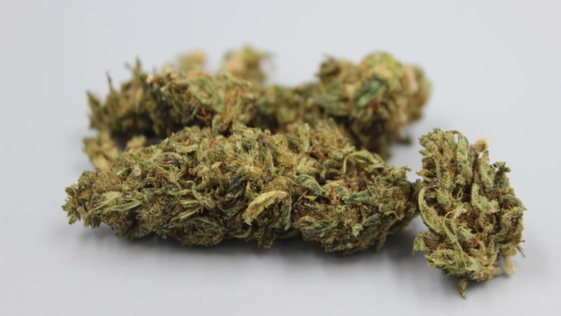 EU Legal Landscape for Cannabis