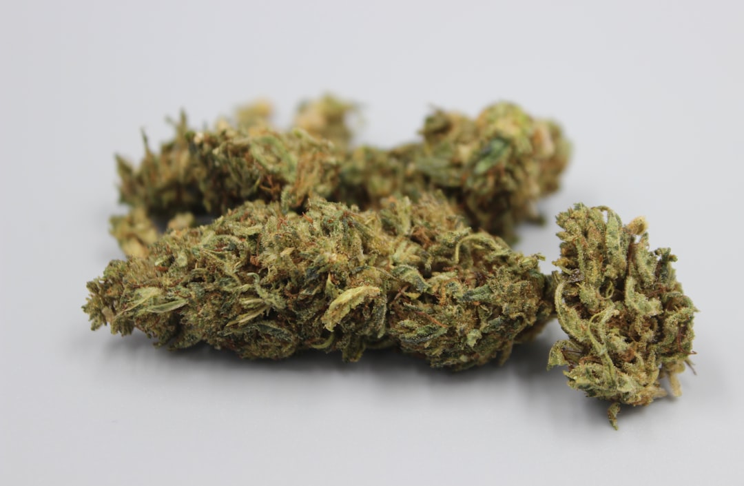 EU Legal Landscape for Cannabis