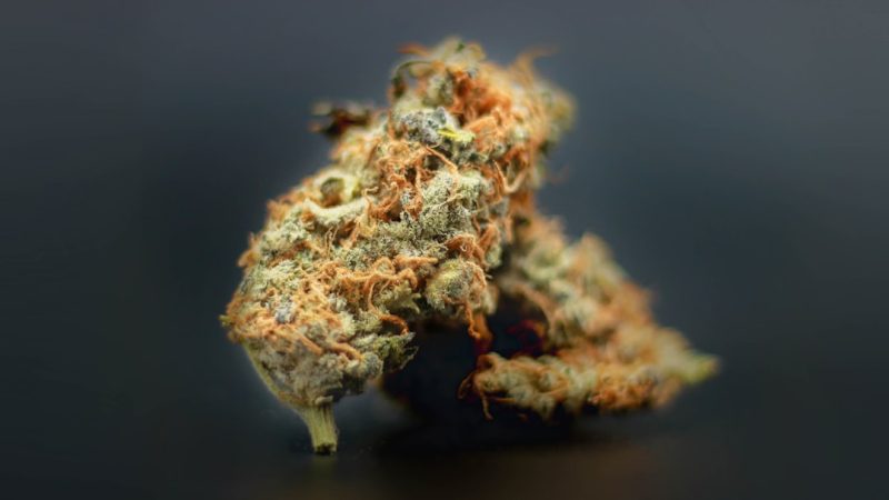Buying THC Marijuana in Glasgow