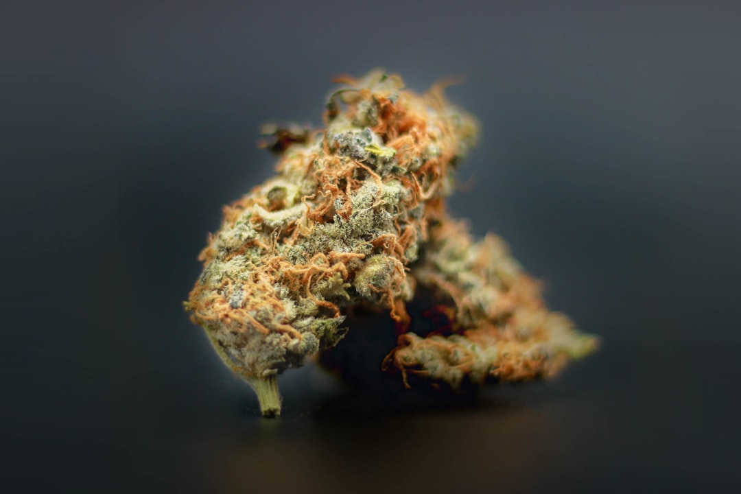 Buying THC Marijuana in Glasgow