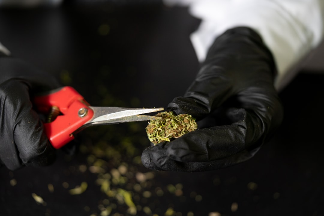 Looking for a reliable cannabis dispensary in Lyon