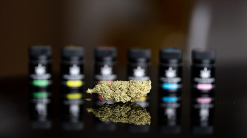 Looking to buy THC vape in Sofia?