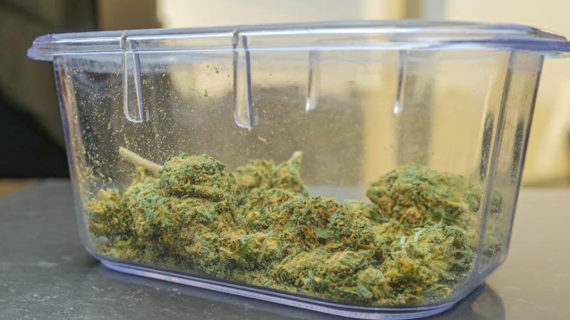 Barcelona Cannabis Shop: Your Ultimate Guide to the Best Weed in the City