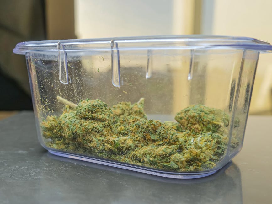 Barcelona Cannabis Shop: Your Ultimate Guide to the Best Weed in the City