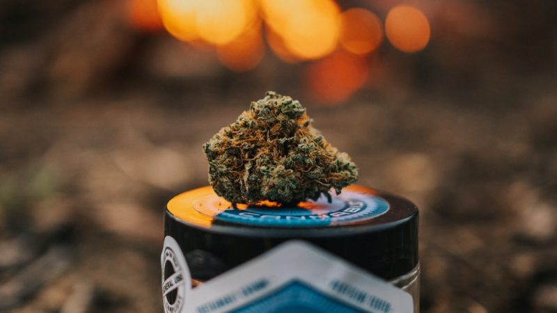 Cannabis in Augsburg: Where to Buy, How to Order, and Legal Landscape