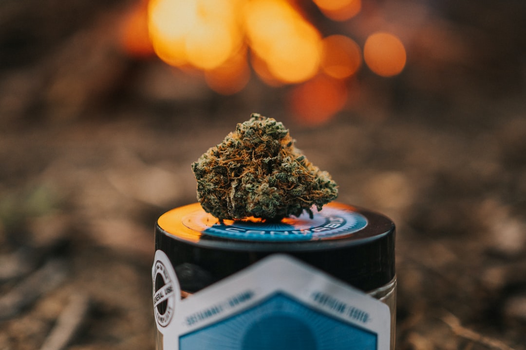 Cannabis in Augsburg: Where to Buy, How to Order, and Legal Landscape