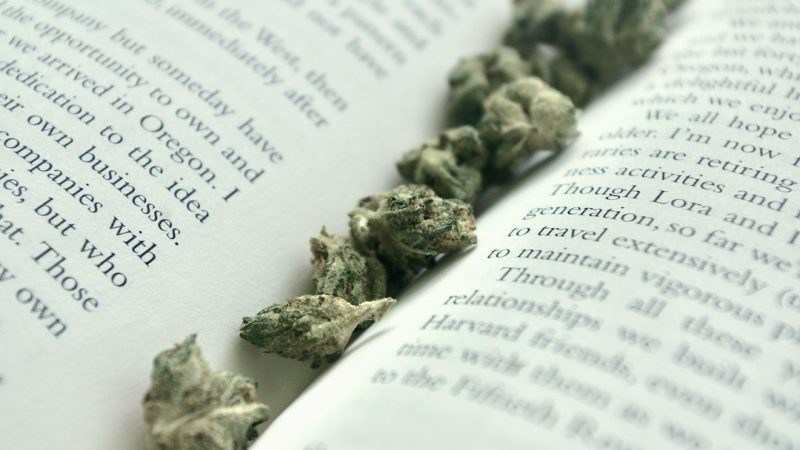 Andorra Cannabis Shop