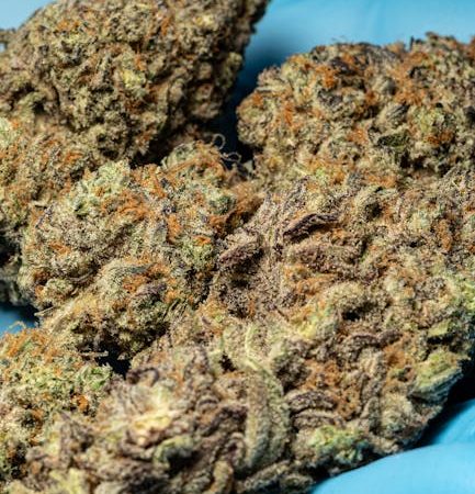 Brno Cannabis Shop Your Premier Destination for High Quality Marijuana Hemp CBD and THC Products