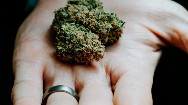 Looking for a reliable weed shop Budapest that offers a wide range of cannabis, marijuana, hemp, and CBD products?