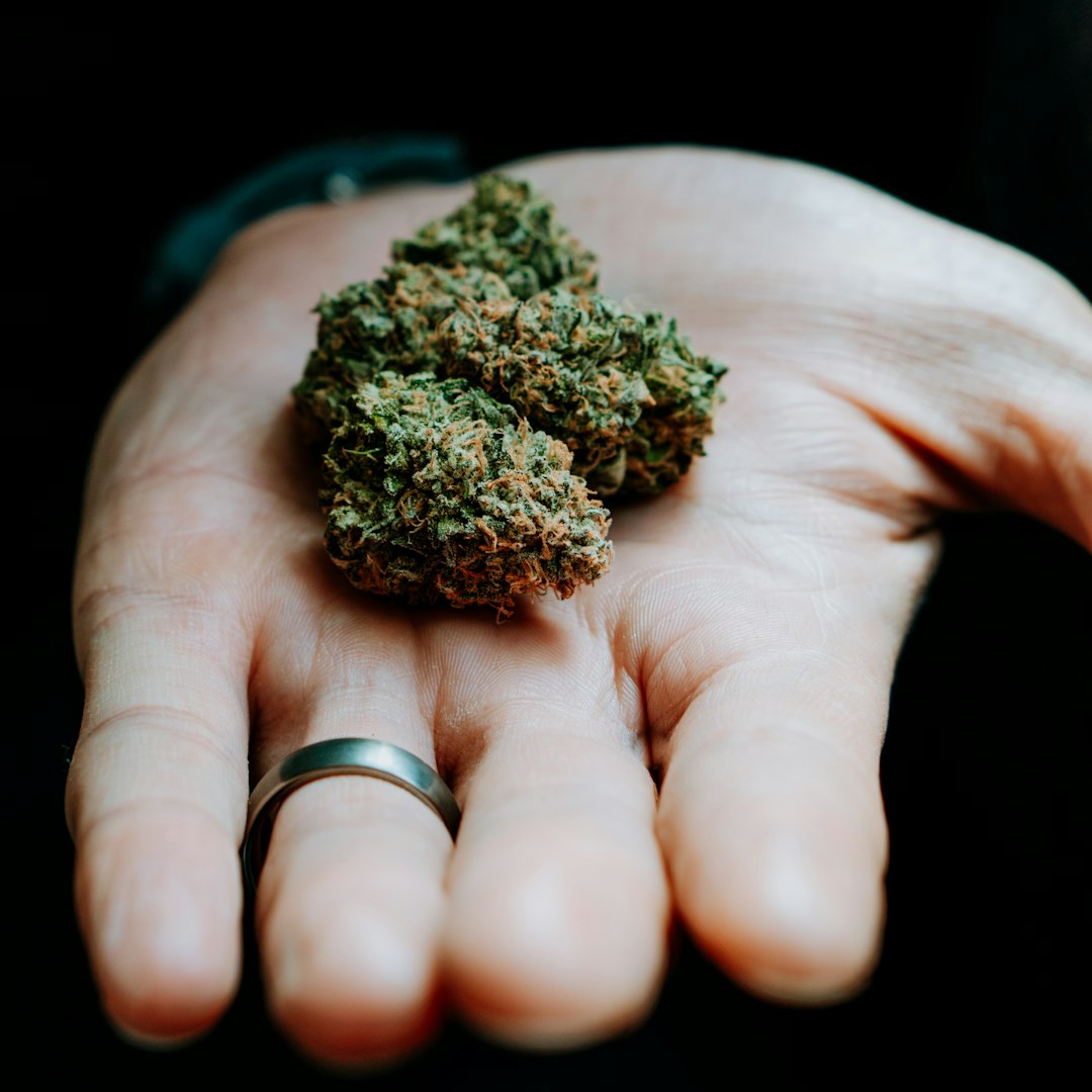 Looking for a reliable weed shop Budapest that offers a wide range of cannabis, marijuana, hemp, and CBD products?