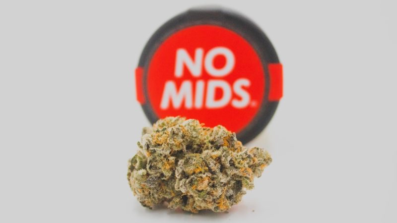 Looking for a reliable source of premium weed in Szczecin?