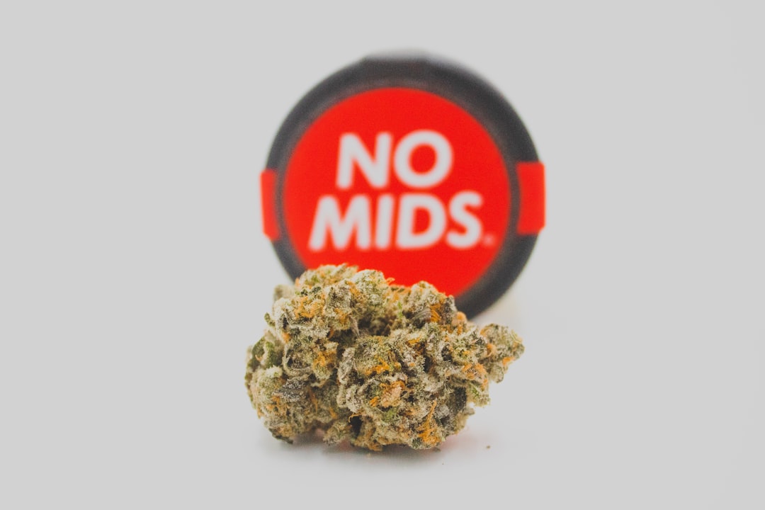 Looking for a reliable source of premium weed in Szczecin?