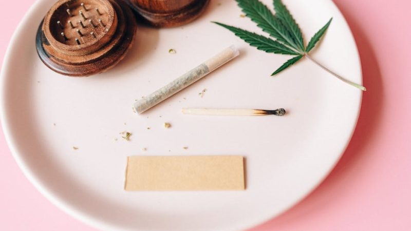 Looking to buy a high‑quality THC vape in Plzen?