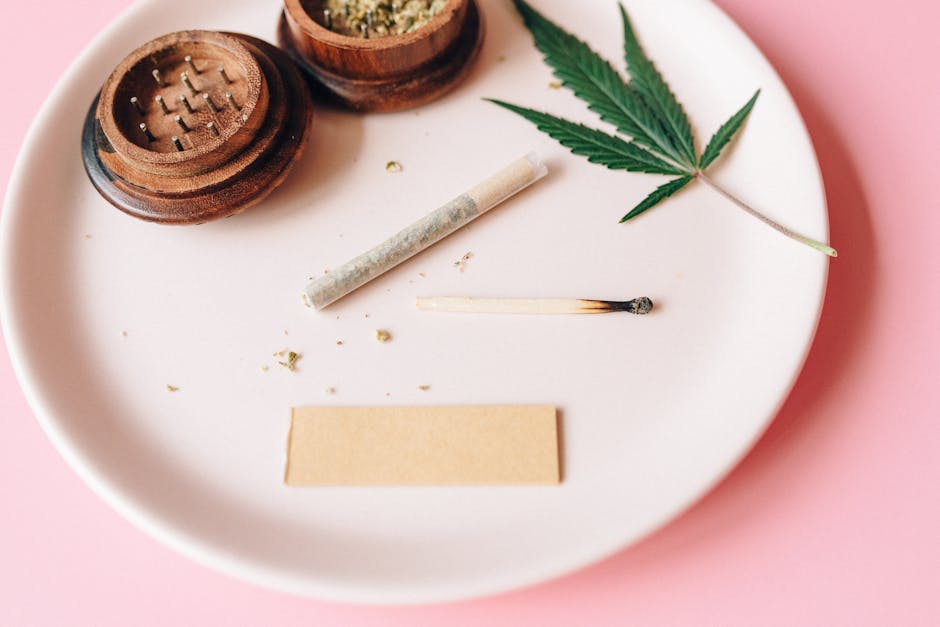 Looking to buy a high‑quality THC vape in Plzen?