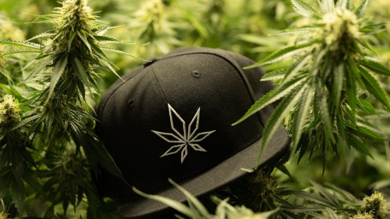 Cannabis Shops in Spain: Your Guide to Buying High-Quality Cannabis Online