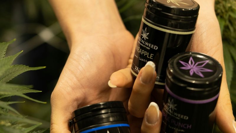 Fast, Discreet, and Legally Compliant THC Vape Delivery in Plzen