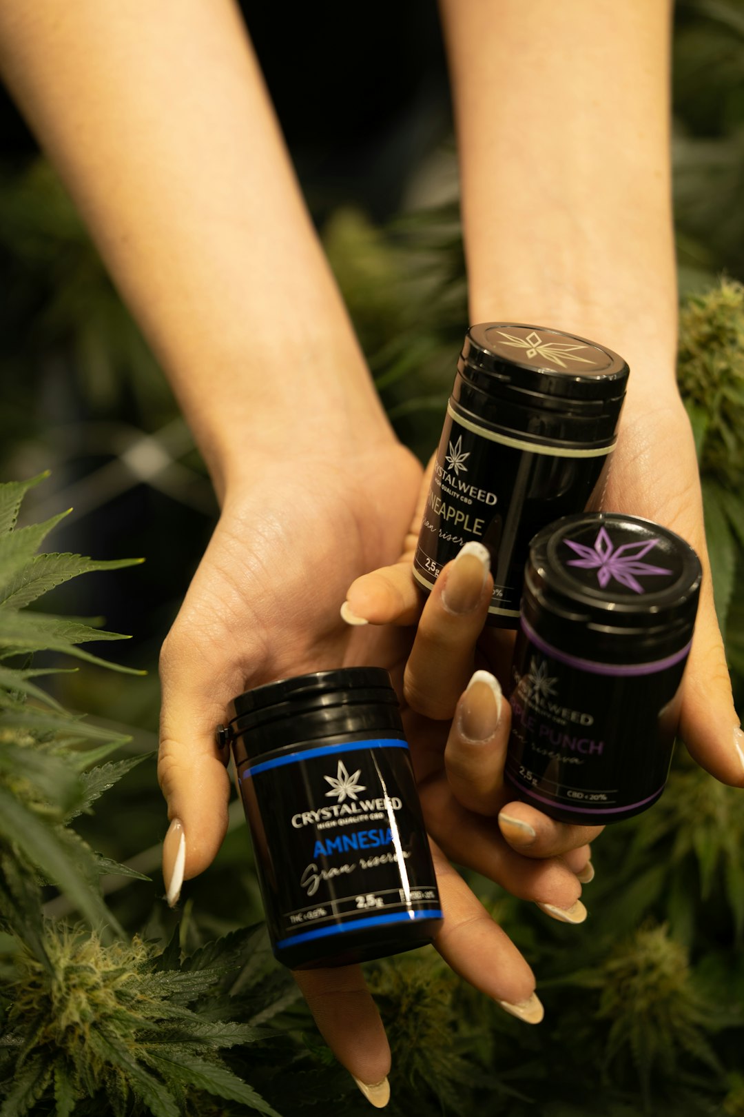 Fast, Discreet, and Legally Compliant THC Vape Delivery in Plzen