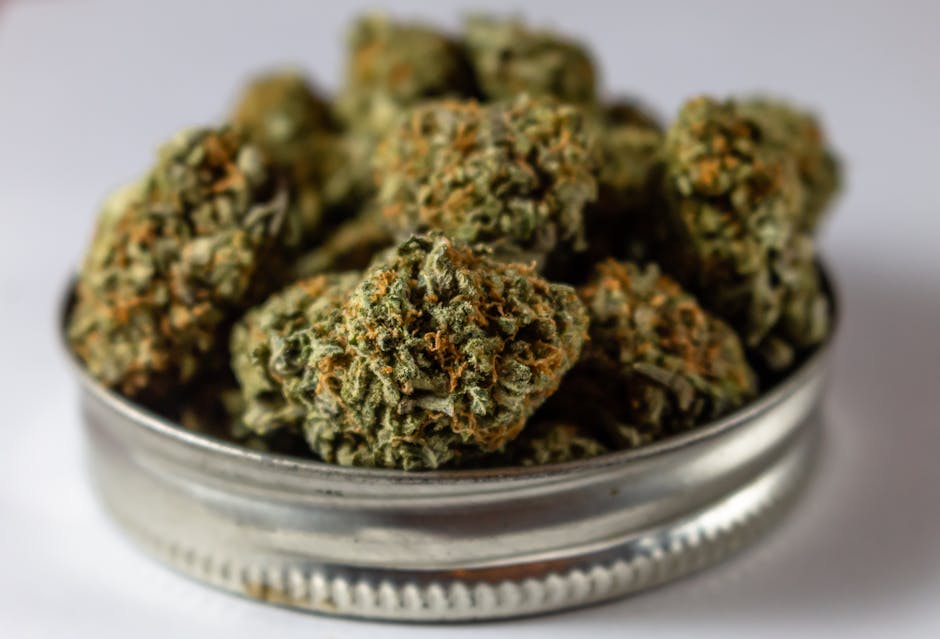 Looking for high‑quality hashish in Bonn
