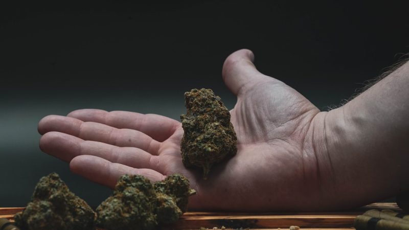 Palma de Mallorca THC Vape Delivery: Your Guide to Premium Cannabis Products