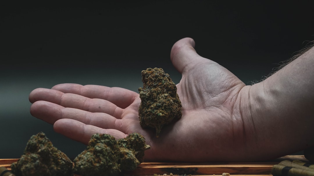 Palma de Mallorca THC Vape Delivery: Your Guide to Premium Cannabis Products
