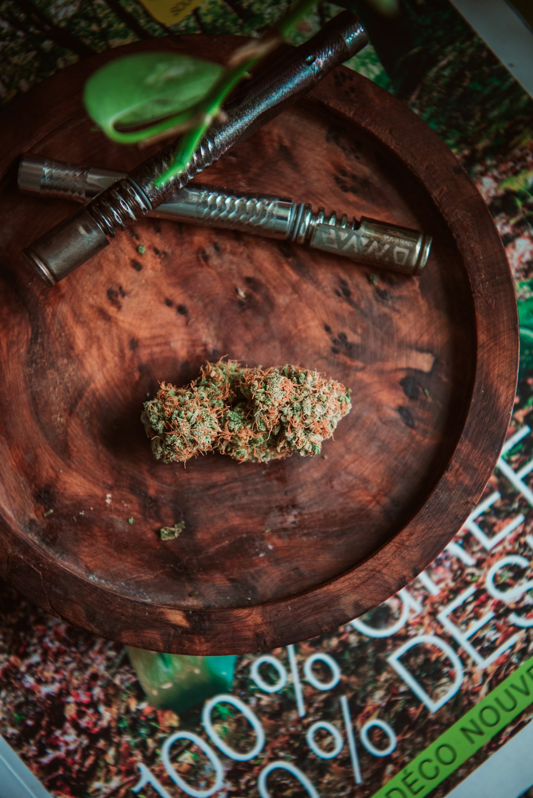Buying Cannabis in Hamburg: A Comprehensive Guide