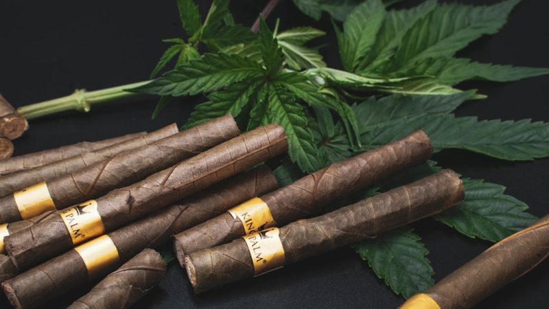 Riga Cannabis Shop