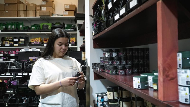 Buy THC Cannabis in Copenhagen – Online Cannabis Store