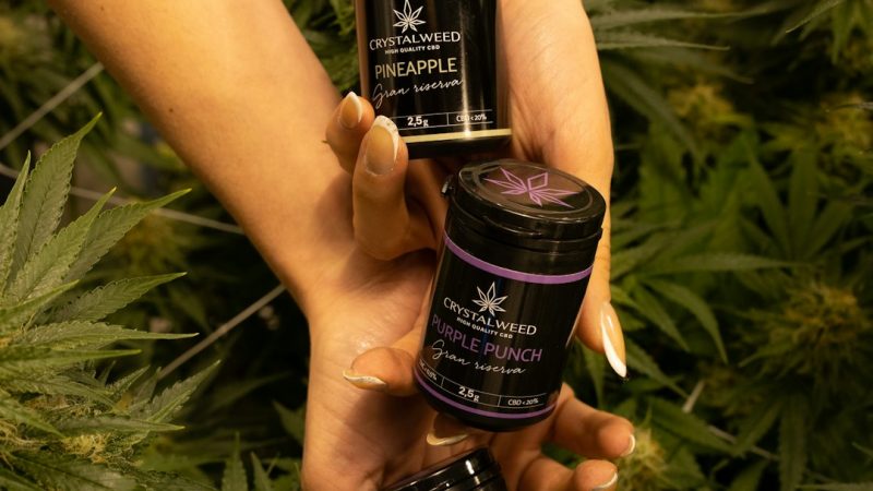 Romanian Cannabis Market: Your Ultimate Guide to Legal Cannabis Products