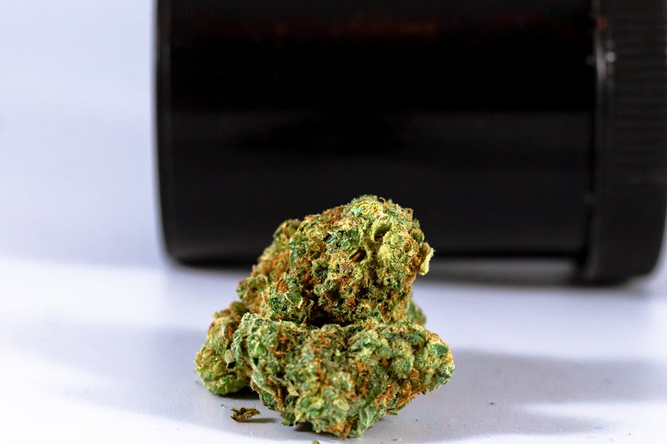 Ultimate Guide to Purchasing High‑Quality Cannabis Across Europe