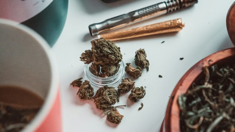 Palma de Mallorca: The New Cannabis Hotspot