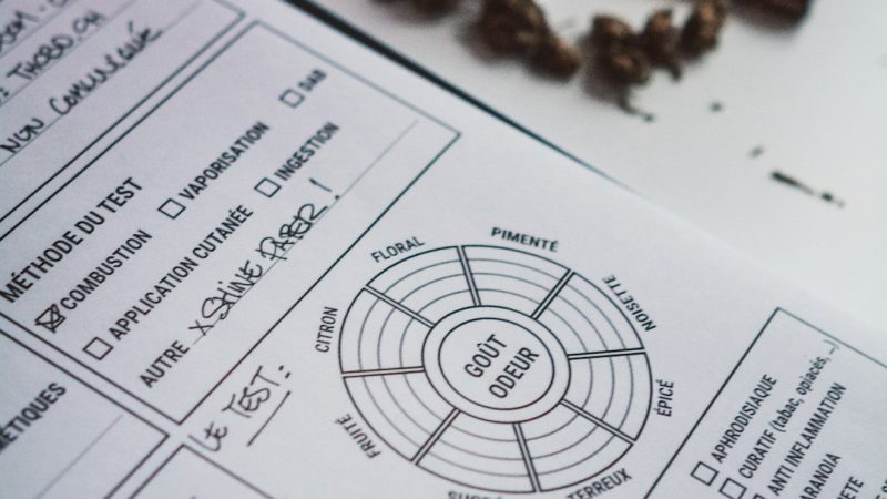 Welcome to the premier Cannabis dispensary in Dortmund