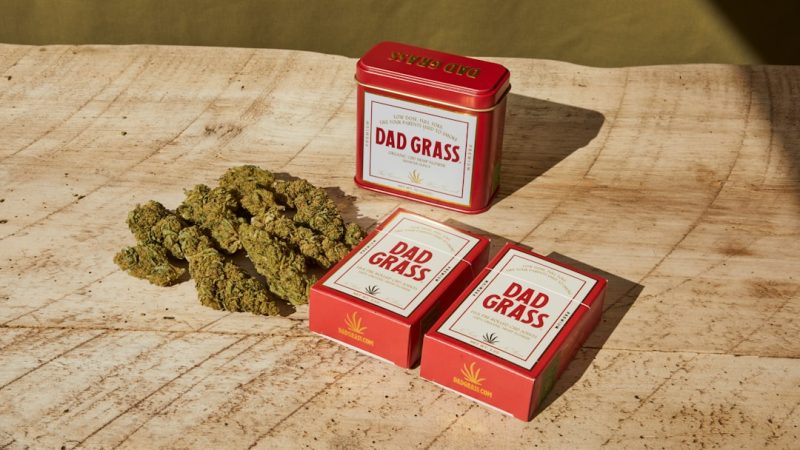 Wroclaw Cannabis Shop: Premium THC Strains, Fast Delivery, and Legal Compliance