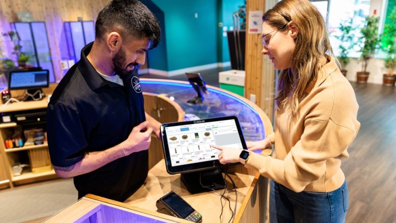THC Weed in Hamburg: Legal Status, Regulations, and Buying Guide