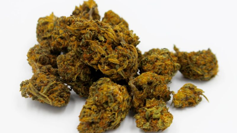 Welcome to the premier Lublin cannabis shop