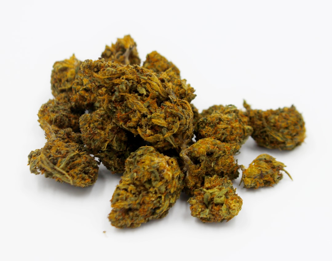Welcome to the premier Lublin cannabis shop