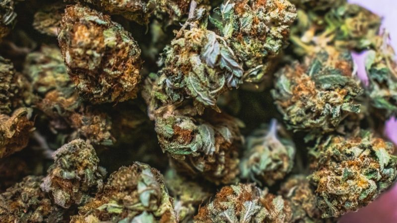 Buying Weed in Münster: A Legal Guide and Online Dispensary