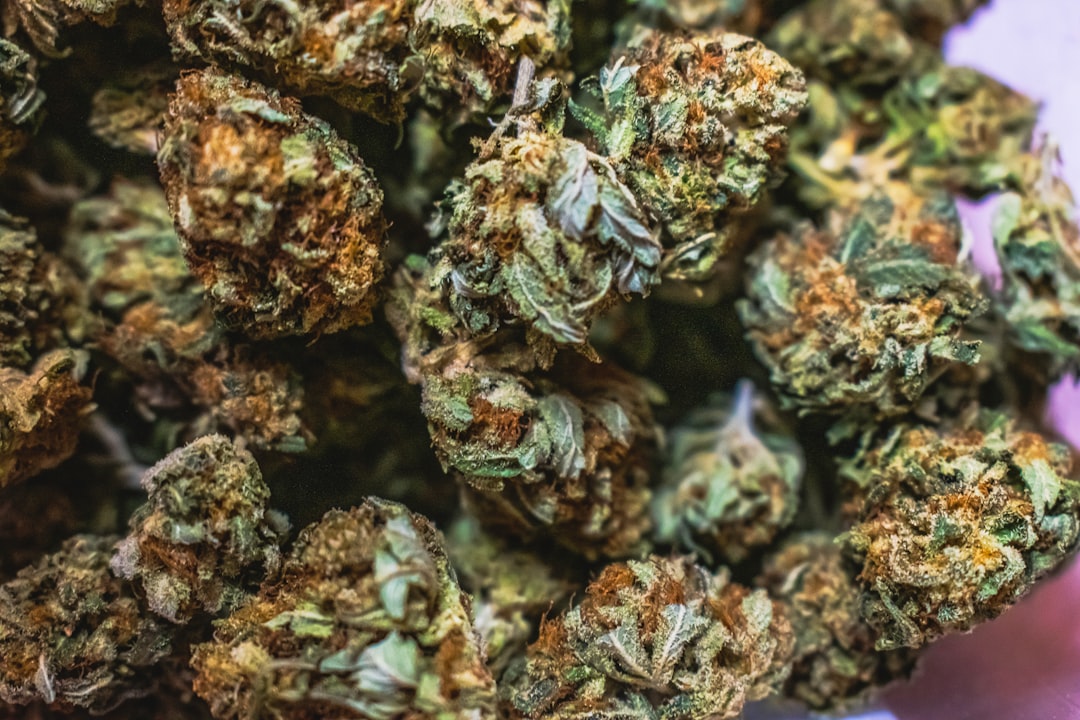 Buying Weed in Münster: A Legal Guide and Online Dispensary