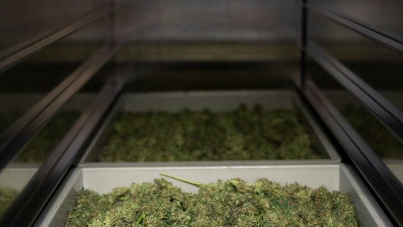 Medical Marijuana Hungary: Order Cannabis Online and Delivery