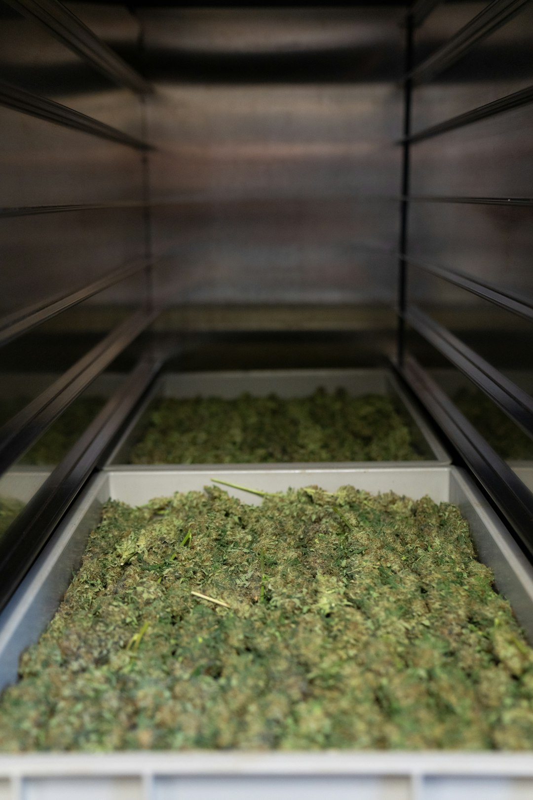 Medical Marijuana Hungary: Order Cannabis Online and Delivery