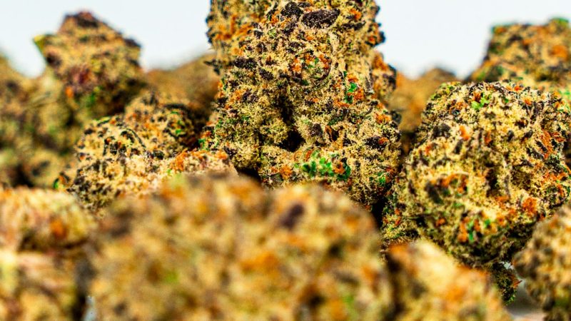 Welcome to the premier cannabis dispensary in Slovakia