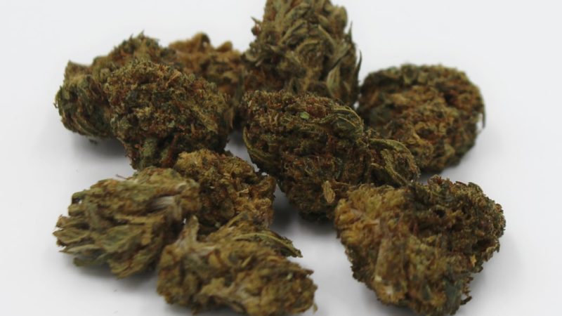 Cannabis Shop Vilnius Your Ultimate Guide to Buying Cannabis Online